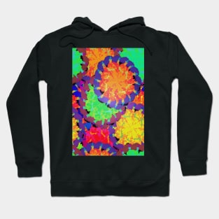 Bring Me Some Flowers Hoodie